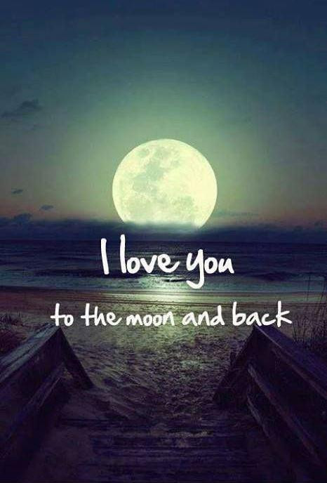 I Love You To The Moon And Back Quotes
 I love you to the moon and back