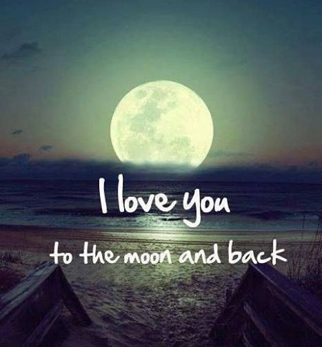 I Love You To The Moon And Back Quotes
 Moon No Matter What Quotes QuotesGram