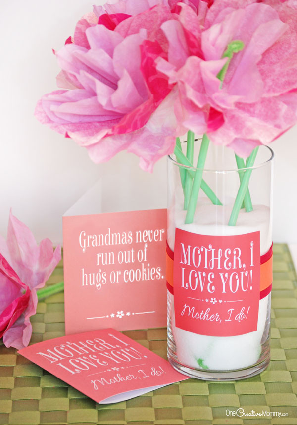 Ideas For A Mothers Day Gift
 Cute Mother s Day Gift Idea and Printables