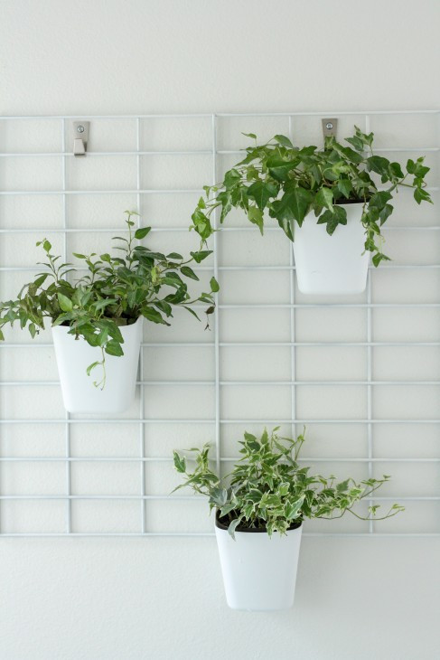 Indoor Living Wall Planter
 23 Cool DIY Wall Planter Ideas For Vertical Gardens – The