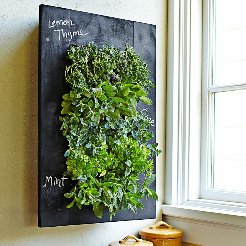 Indoor Living Wall Planter
 Turn Your Wall Green with GroVert Living Wall Planter