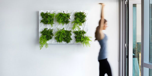 Indoor Living Wall Planter
 Indoor Living Wall Planter = Easy Vertical Gardening