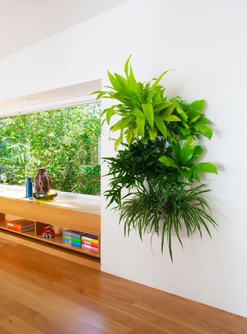 Indoor Living Wall Planter
 13 Stunning Indoor Vertical Garden Planter Ideas