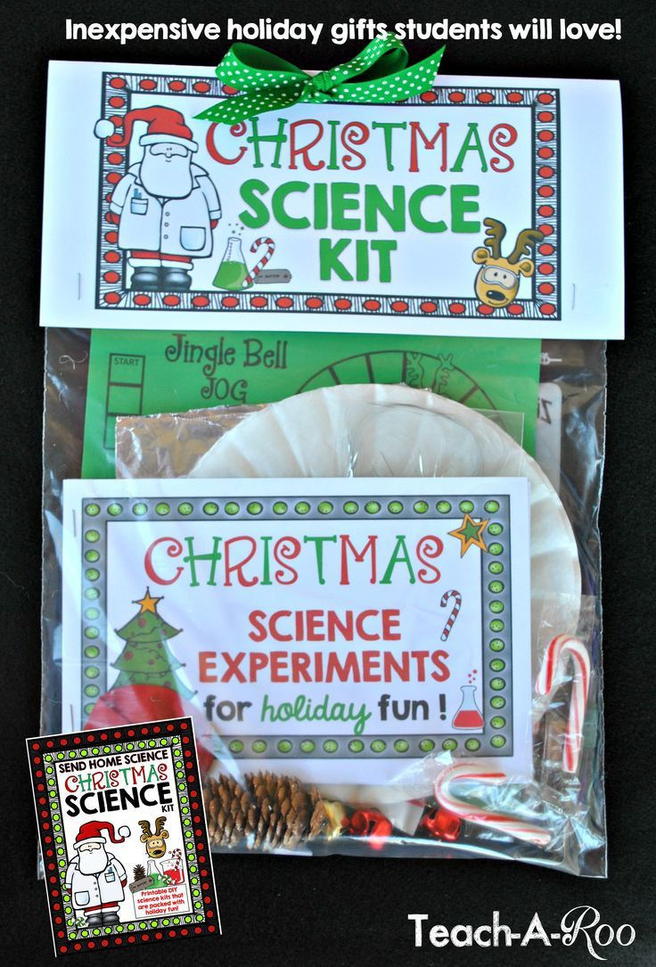 Inexpensive Gifts For Children
 Christmas Science Kits