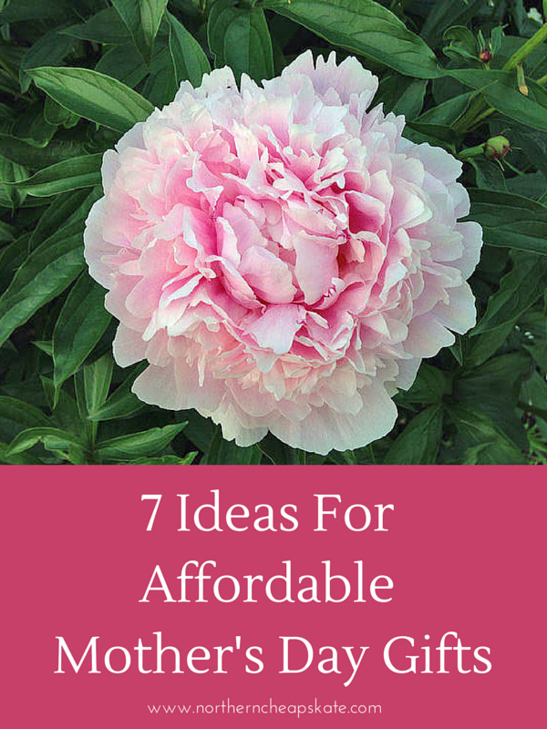 Inexpensive Mother'S Day Gift Ideas
 7 Ideas For Affordable Mother s Day Gifts