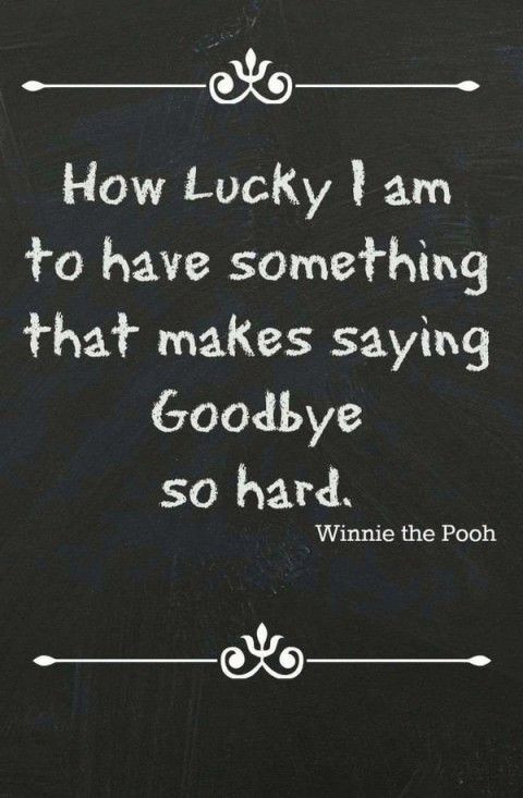 Inspirational Goodbye Quotes
 33 Inspirational and Funny Farewell Quotes