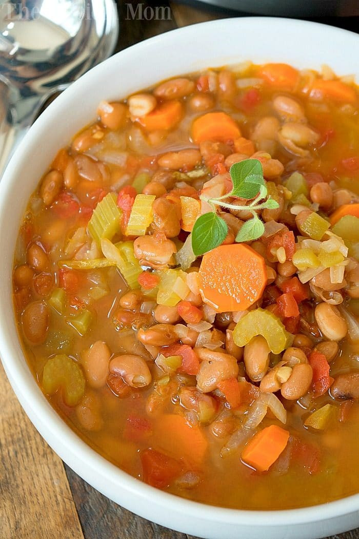 Instant Pot Bean Soup Recipes
 Instant Pot Pinto Bean Soup · The Typical Mom