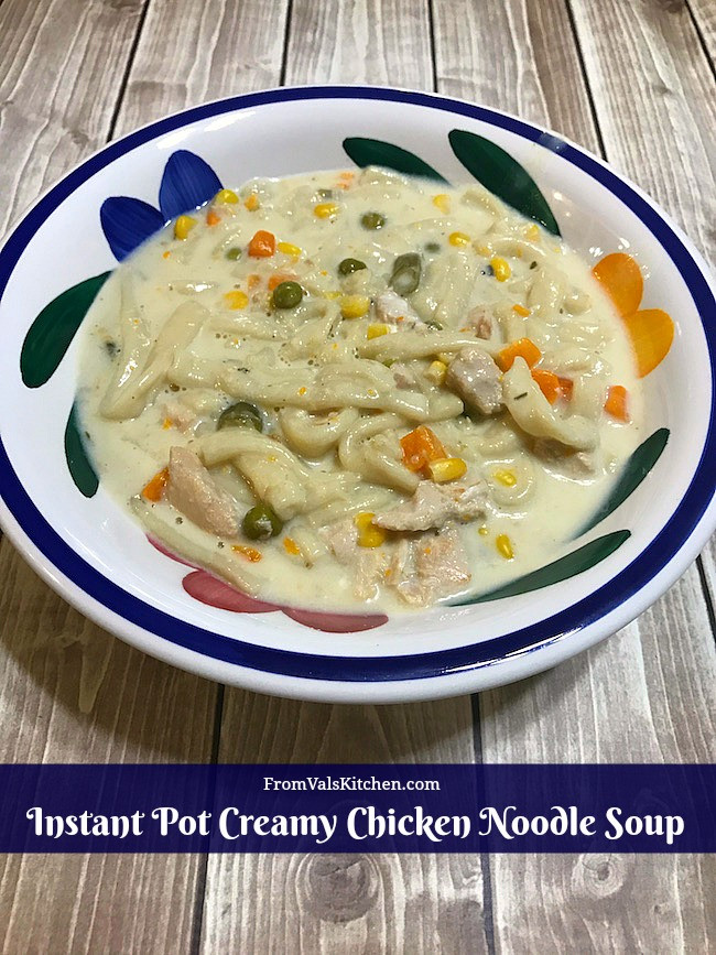 Instant Pot Chicken With Cream Of Chicken Soup
 Instant Pot Creamy Chicken Noodle Soup Recipe From Val