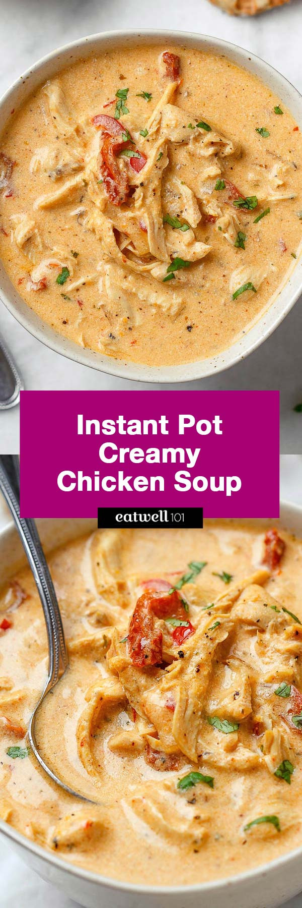 Instant Pot Chicken With Cream Of Chicken Soup
 Instant Pot Creamy Chicken Soup Recipe – How to make