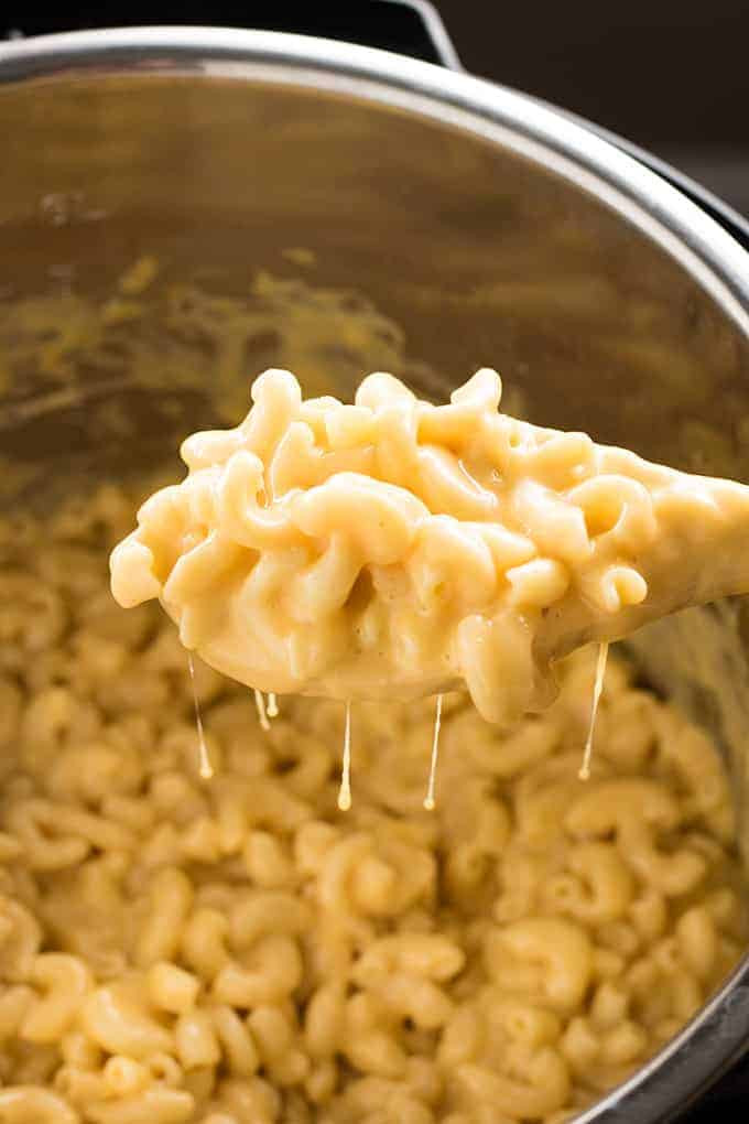 Instant Pot Recipes Mac And Cheese
 Instant Pot Mac and Cheese The Salty Marshmallow