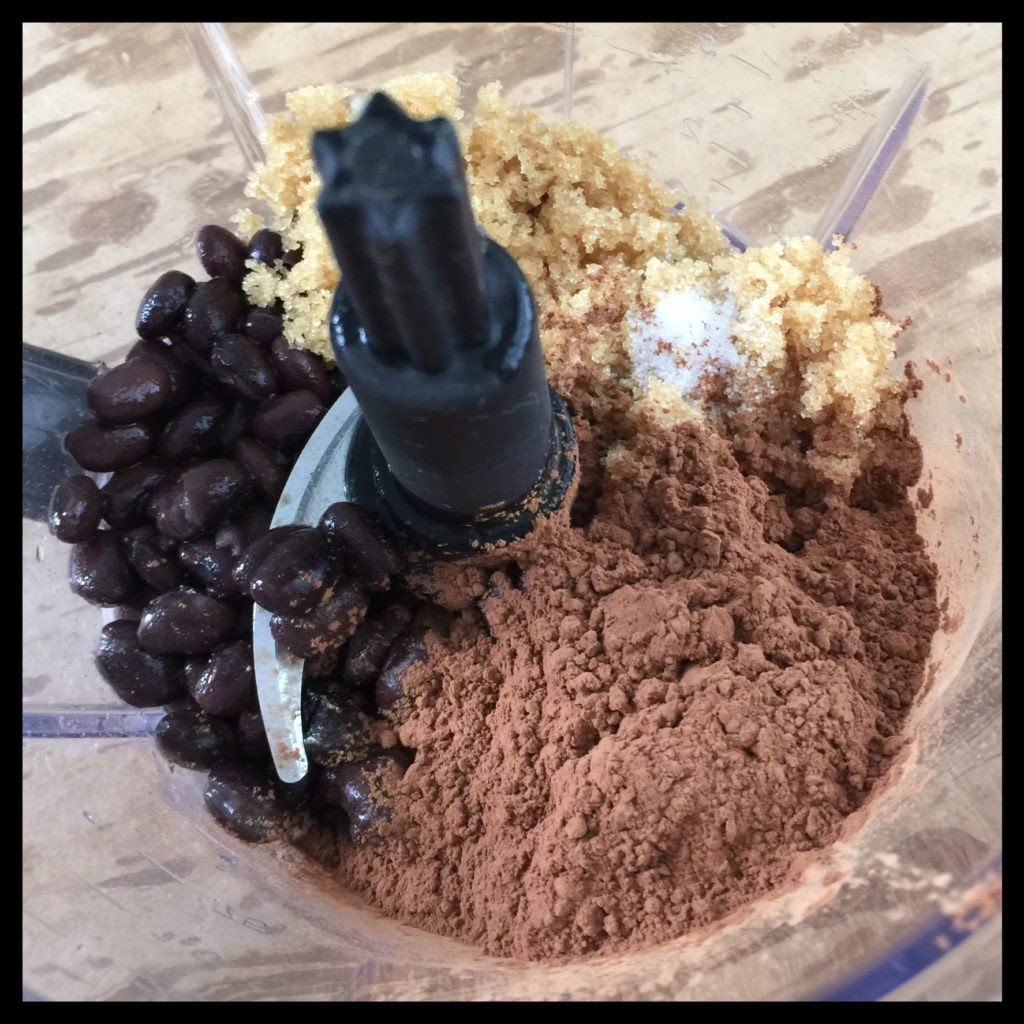 Is Cocoa Powder Vegan
 Vegan Chocolate Protein Shake – Vegan Kitchen Magick