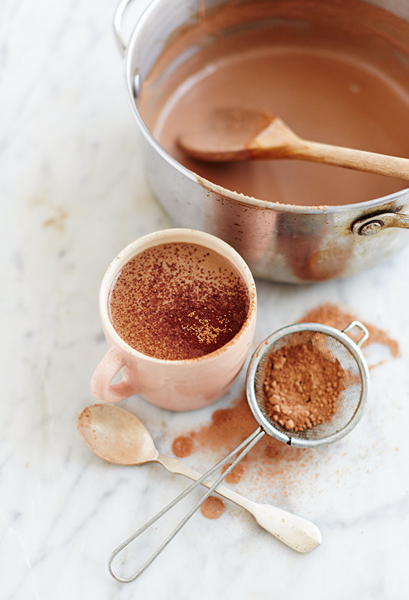 Is Cocoa Powder Vegan
 Coconut Milk Hot Chocolate Recipe