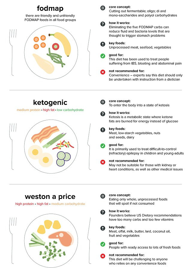 Keto Diet Foods
 18 most popular ts and which is right for you revealed