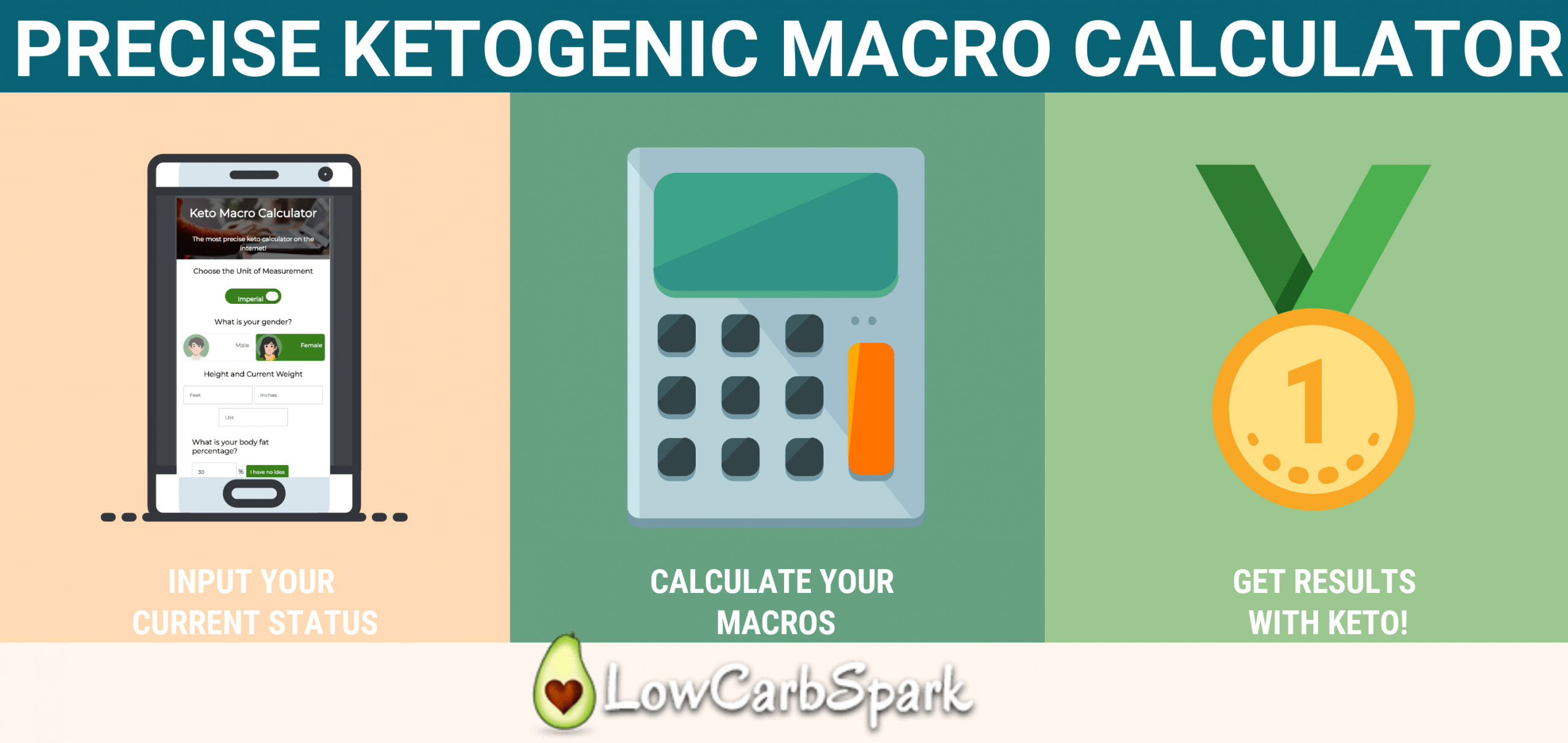 Keto Diet Macros Calculator
 Keto Calculator The Most Precise & Easy Way to Calculate