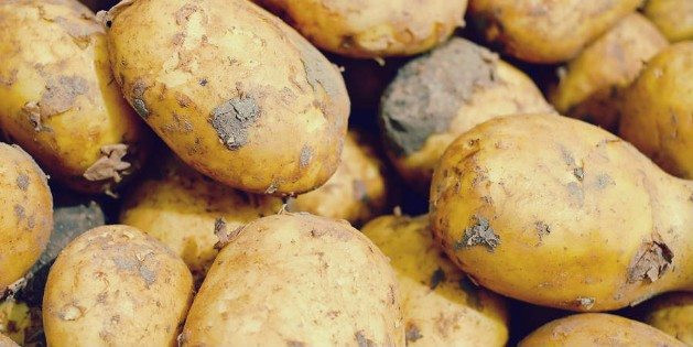 Keto Diet Potatoes
 Keto Foods The Ultimate Ketogenic Diet Food List