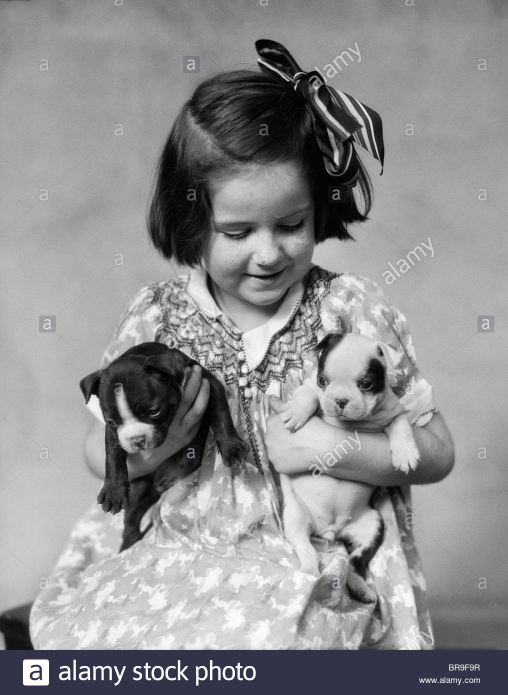 Kids Haircuts Boston
 1920s LITTLE GIRL HOLDING TWO BOSTON TERRIER PUPPIES Stock