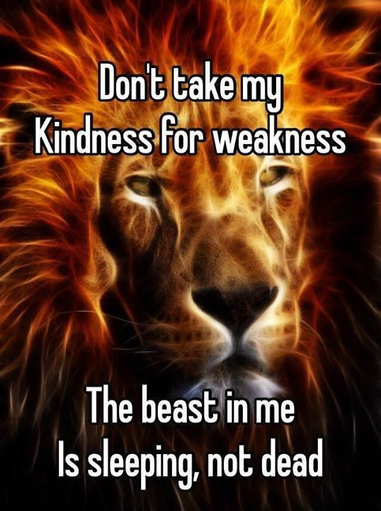 Kindness For Weakness Quotes
 Don t Take My Kindness For Weakness s and