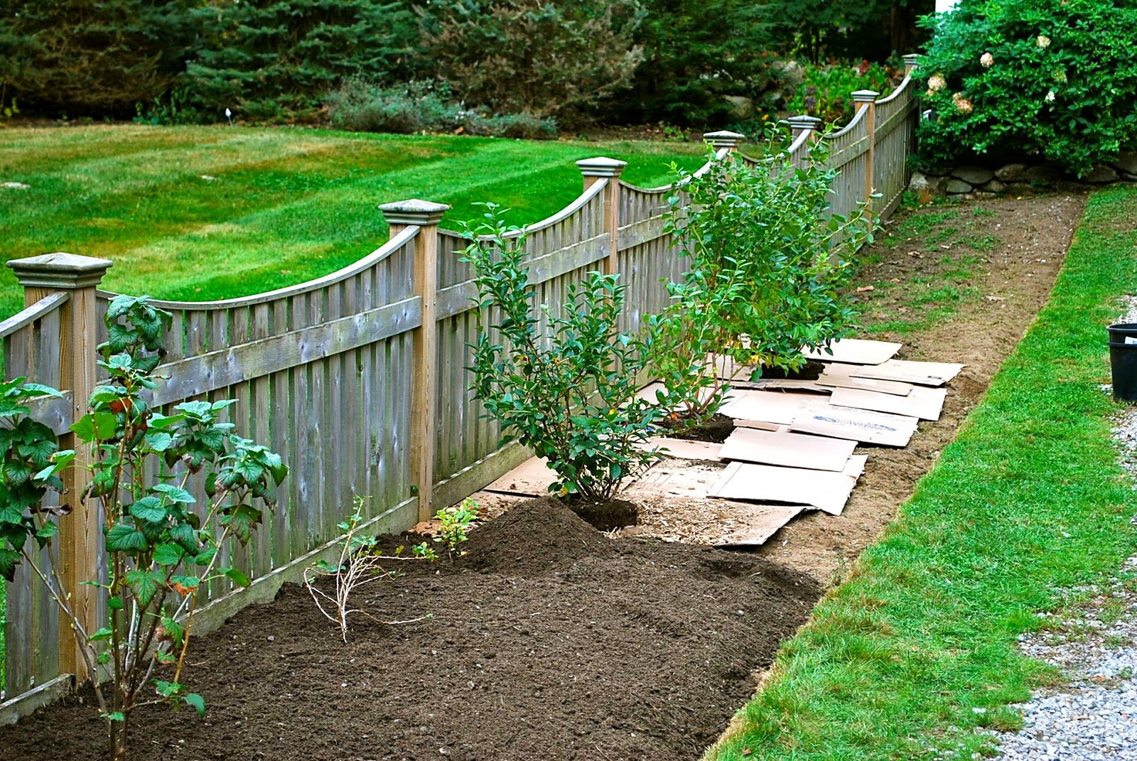 Landscape Along Fence Line
 Fence Line Landscaping Landscaping Ideas For Backyard