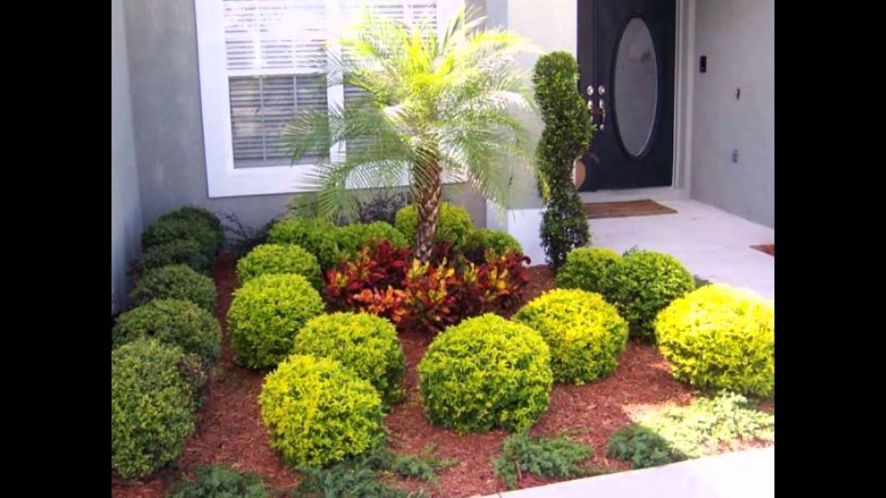 Landscape Design Ideas
 Wonderful Landscape Design Ideas Florida with Tropical
