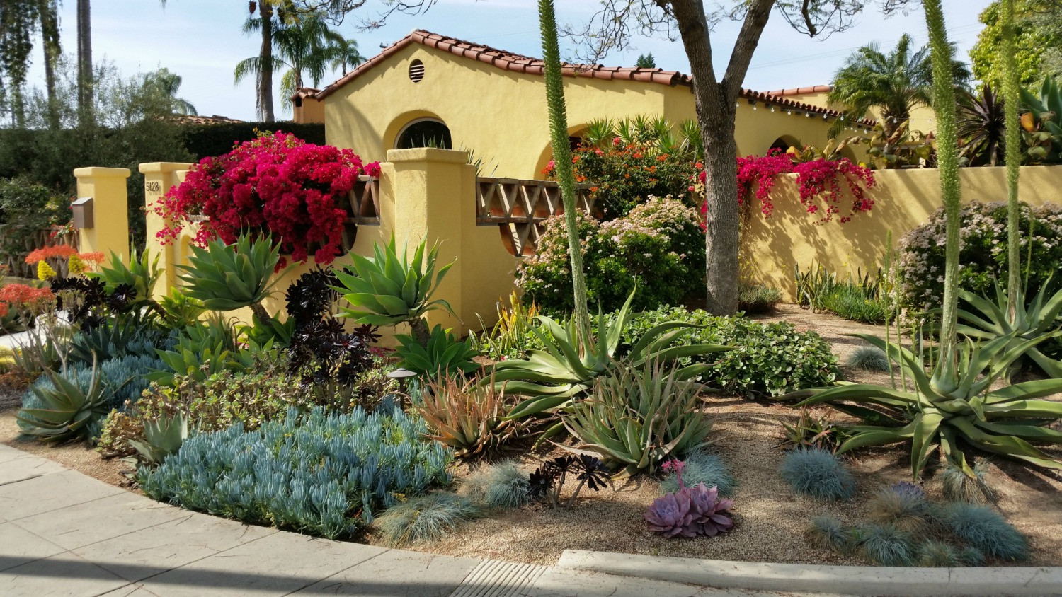 Landscape Designs San Diego
 Garden Landscape Designer San Diego Landscaping with