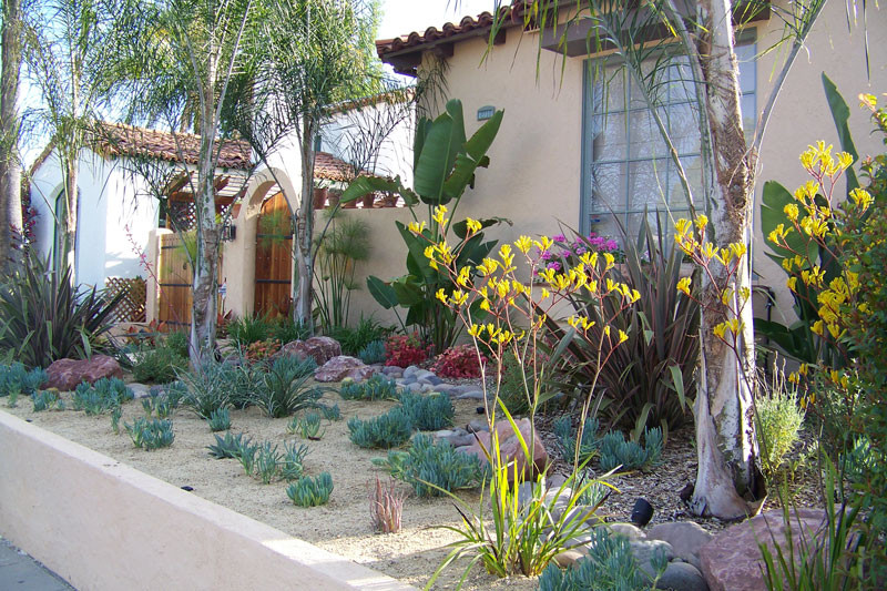 Landscape Designs San Diego
 Xeriscape Plants San Diego Water wise Landscape Gardening