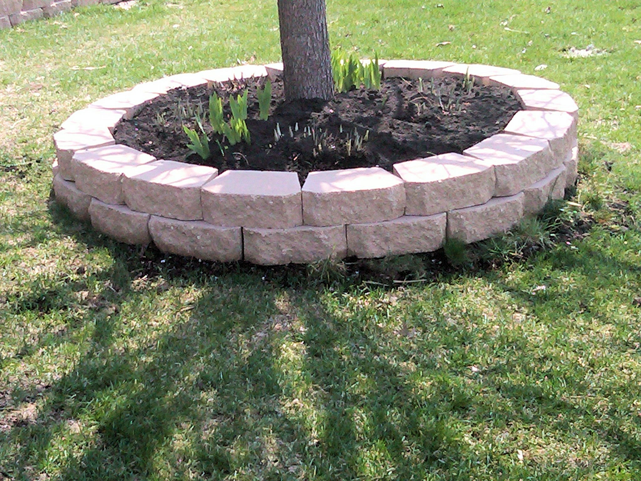 Landscape Edging Lowes
 Ideas Presenting Lowes Garden Edging For Beautify And