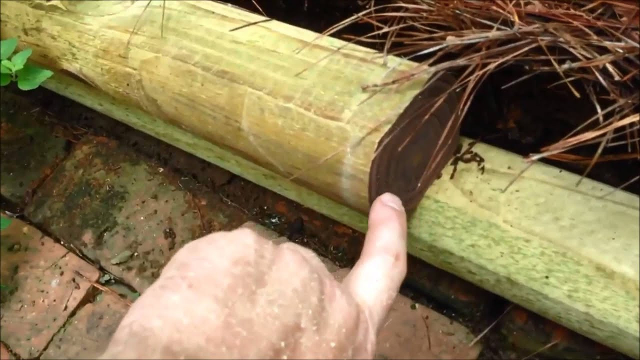 Landscape Timber Edging
 Landscape Timbers