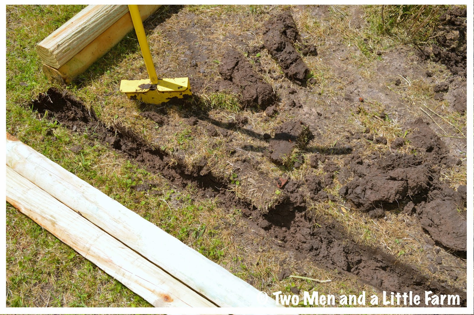 Landscape Timber Edging
 Two Men and a Little Farm LANDSCAPE TIMBER FLOWER BED