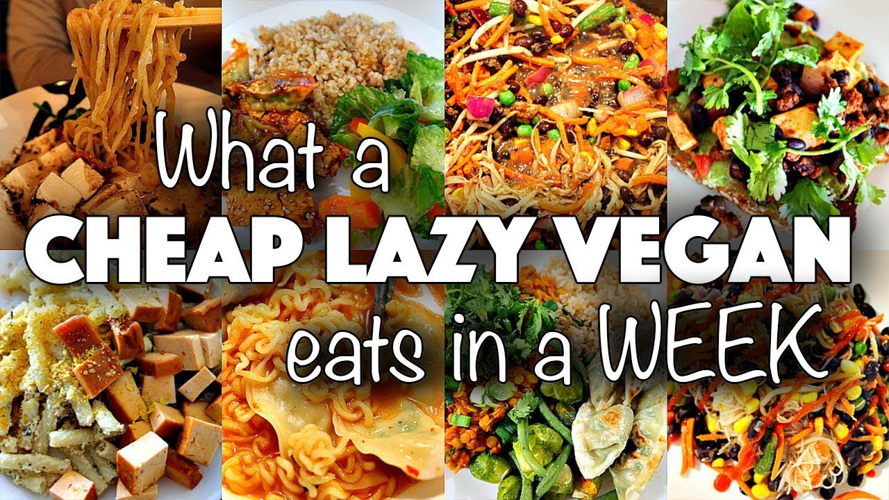 Lazy Vegan Recipes
 What I Ate in a WEEK as a CHEAP LAZY VEGAN 2