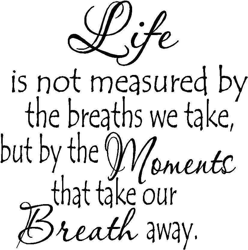 Life Is Not Measured By The Breaths Quote
 Life is not measured by the breaths we take nyl