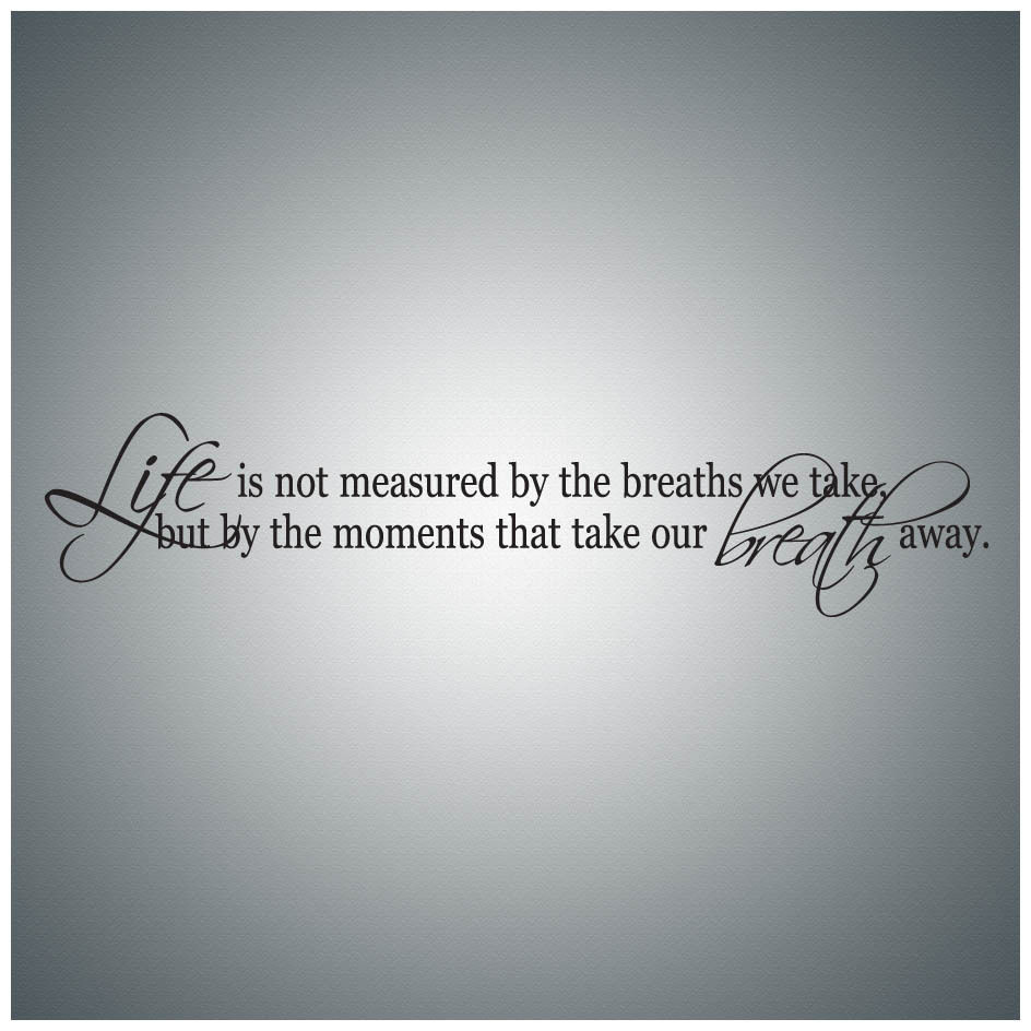 Life Is Not Measured By The Breaths Quote
 Life is not measured by the WALL QUOTE DECAL VINYL