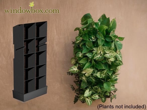 Living Wall Planters Indoor
 Water Collector For Indoor Living Wall Planter