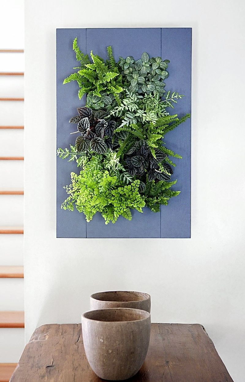 Living Wall Planters Indoor
 Living Wall Vertical Planter "Buttermilk" Wood Frame Kit
