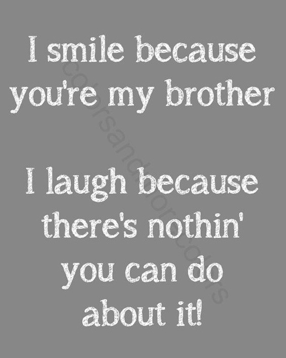 Love Brother Quote
 The 100 Greatest Brother Quotes And Sibling Sayings