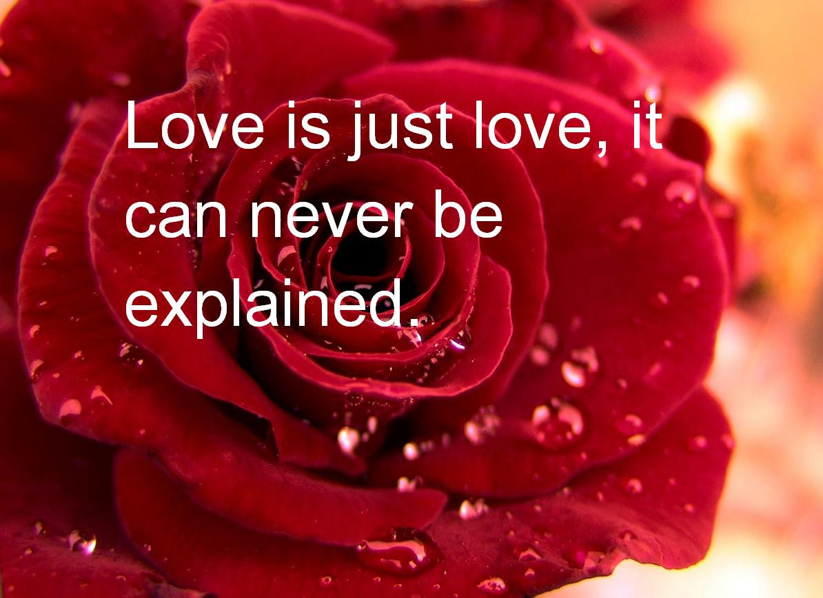 Love Quotes For Valentines Day
 20 Best Valentines Day Quotes