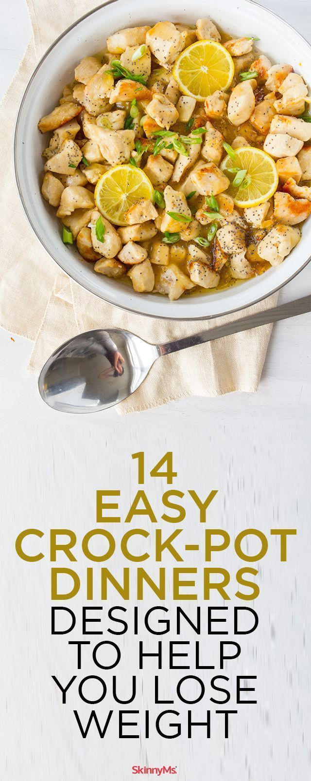 Low Calorie Crock Pot Dinners
 1665 best Skinny Slow Cooker images on Pinterest