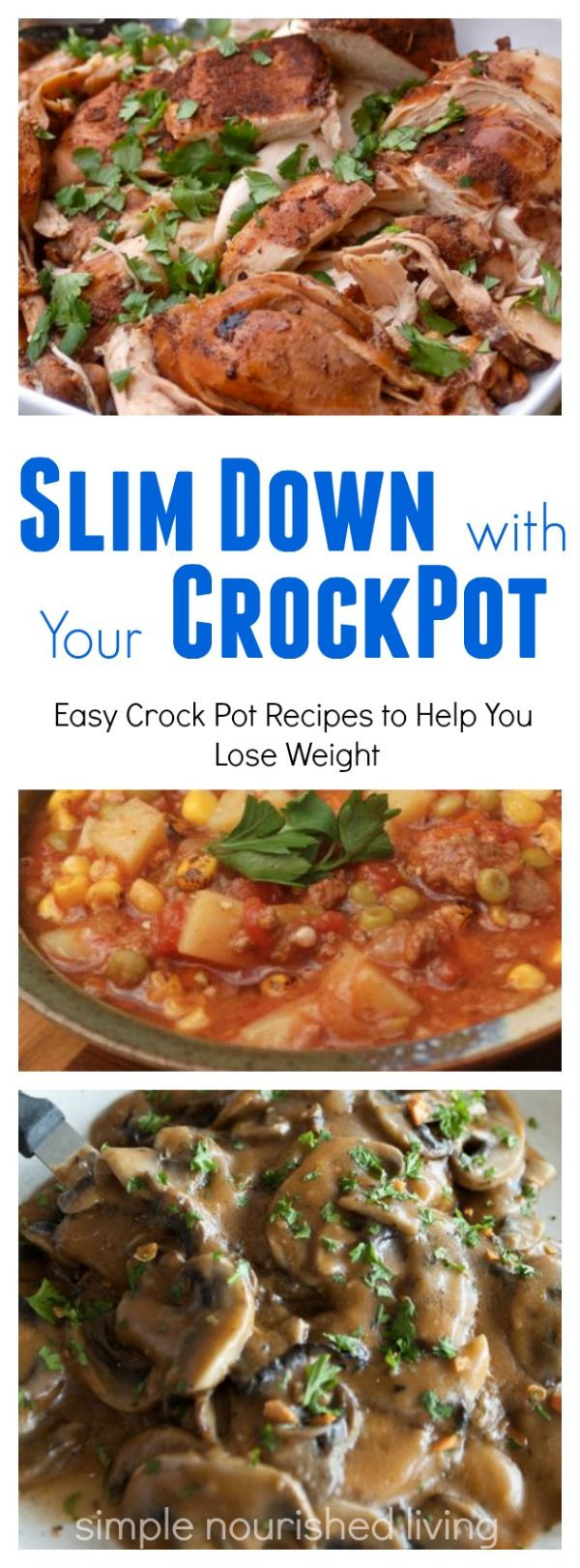 Low Calorie Crock Pot Dinners
 Hundreds of Tried and True Healthy Low Calorie Crock Pot