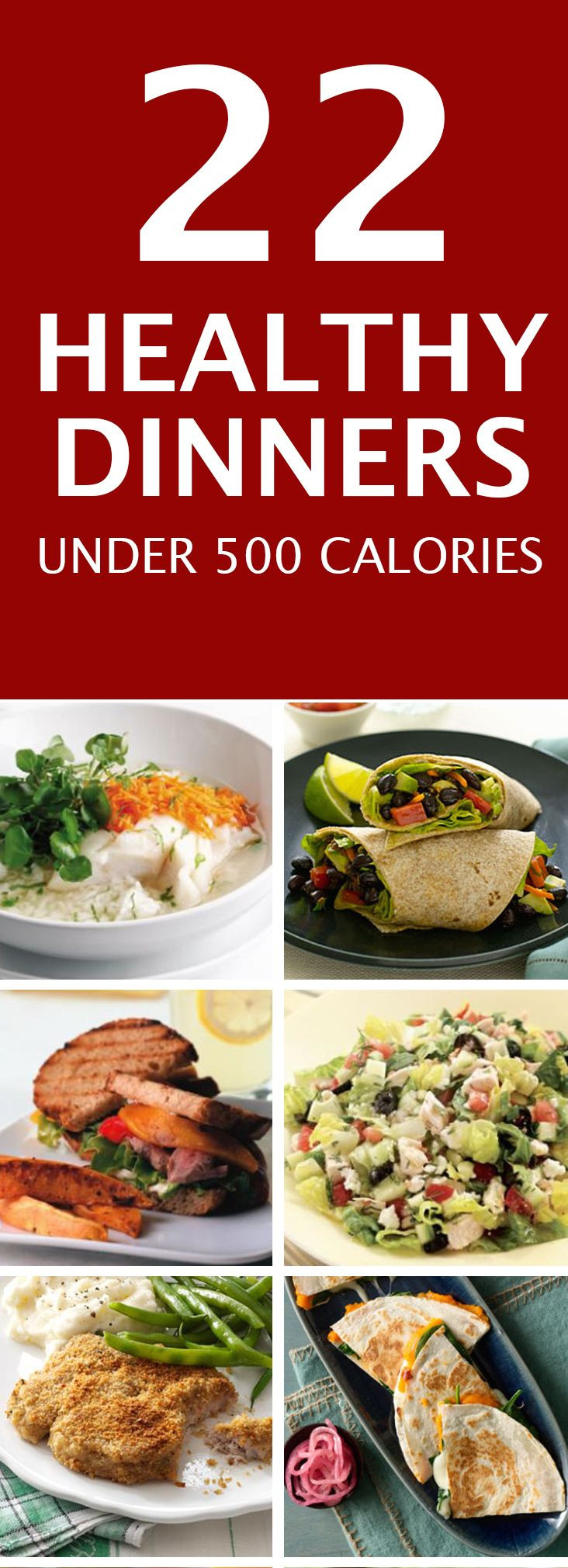 Low Calorie Dinners For 2
 Healthy Dinner Recipes 22 Meal Recipes Under 500