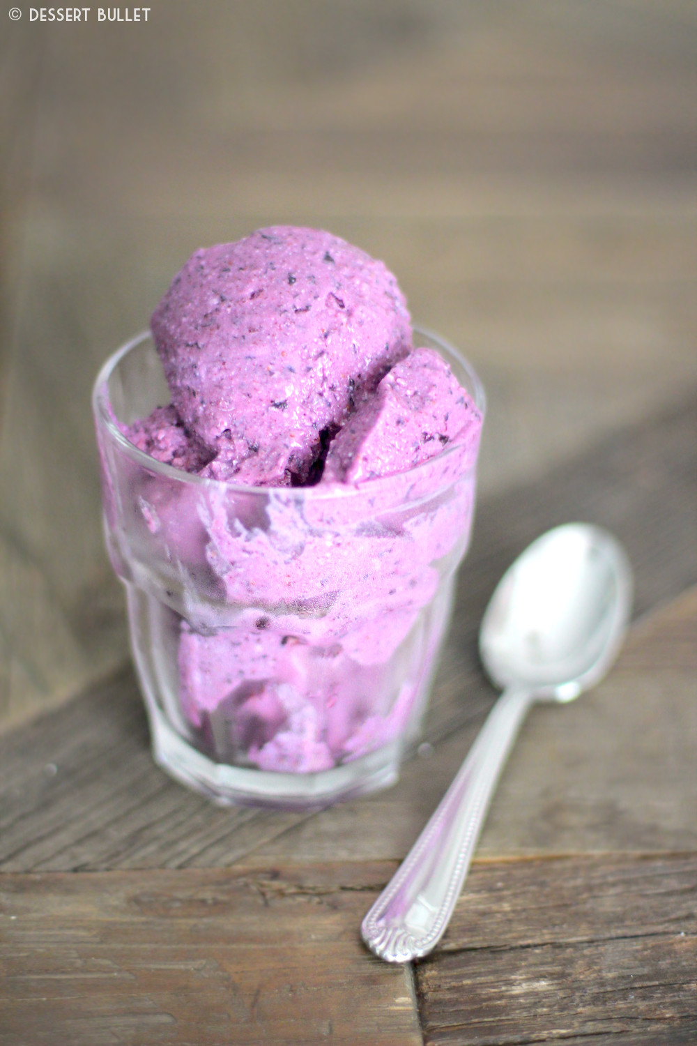 Low Calorie Ice Cream Recipes For Ice Cream Maker
 Best 25 Low fat ice cream ideas on Pinterest