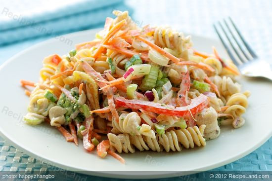 Low Calorie Pasta Salad Recipes
 Low Fat Creamy Pasta Salad Recipe