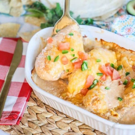 Low Carb Chicken Enchilada Casserole
 Low Carb Chicken Enchilada Casserole · Easy Family Recipes