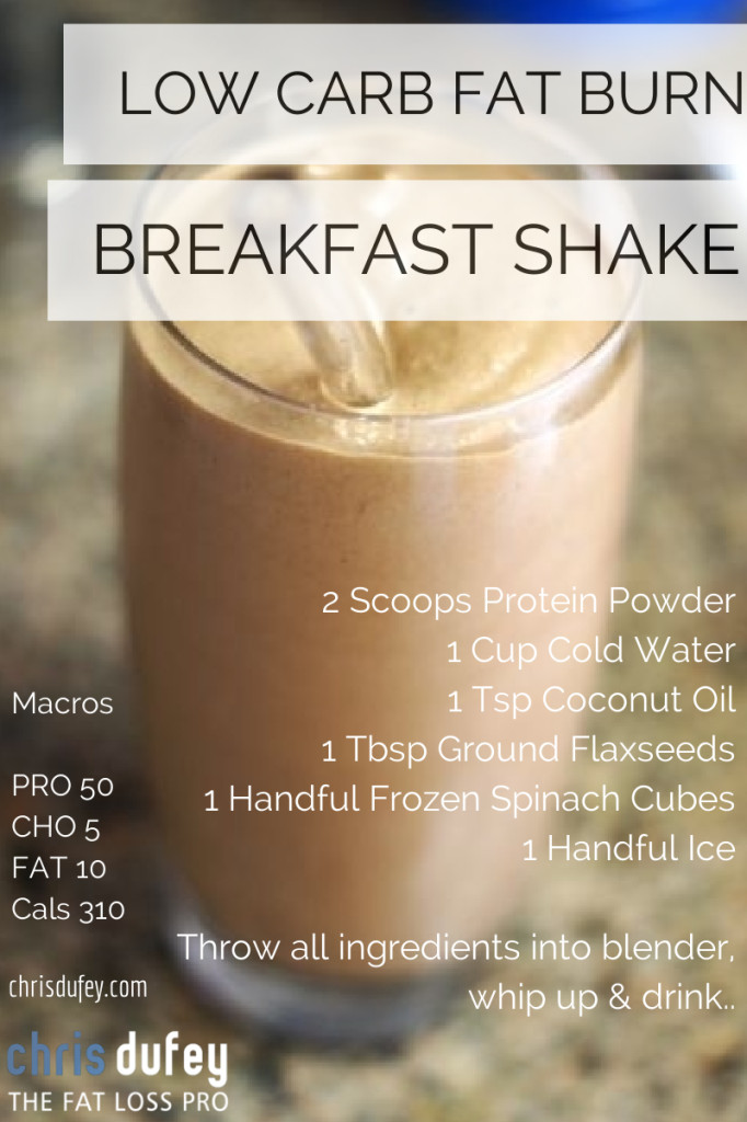 Low Carb Low Calorie Smoothies
 Low Carb Fat Burning Breakfast Smoothie