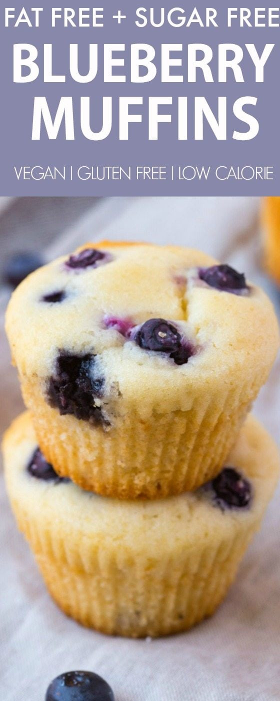 Low Cholesterol Low Sugar Recipes
 Fat Free Flourless Blueberry Muffins Sugar Free Vegan