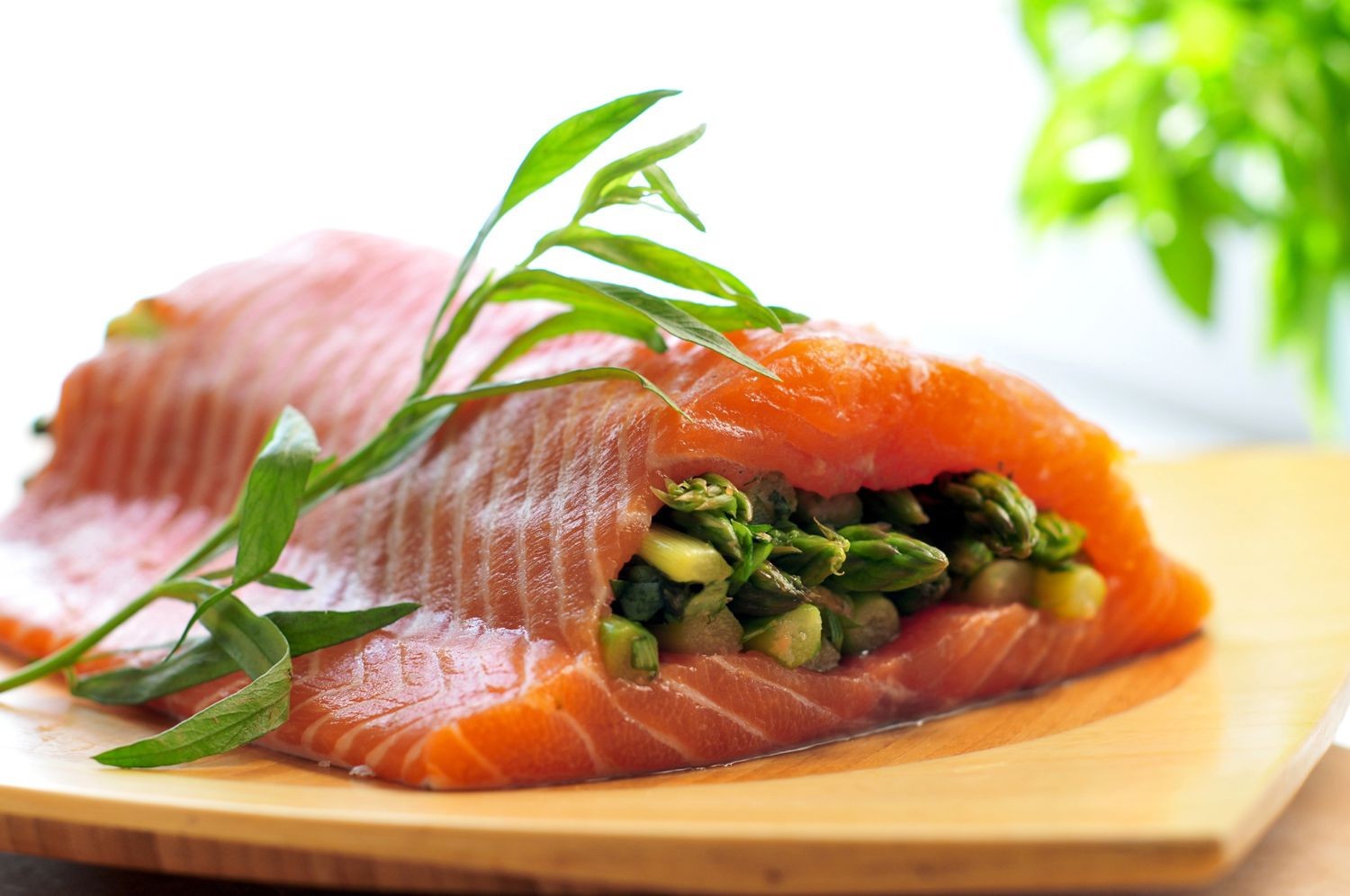 Low Cholesterol Salmon Recipes
 10 Low Cholesterol Salmon Ideas