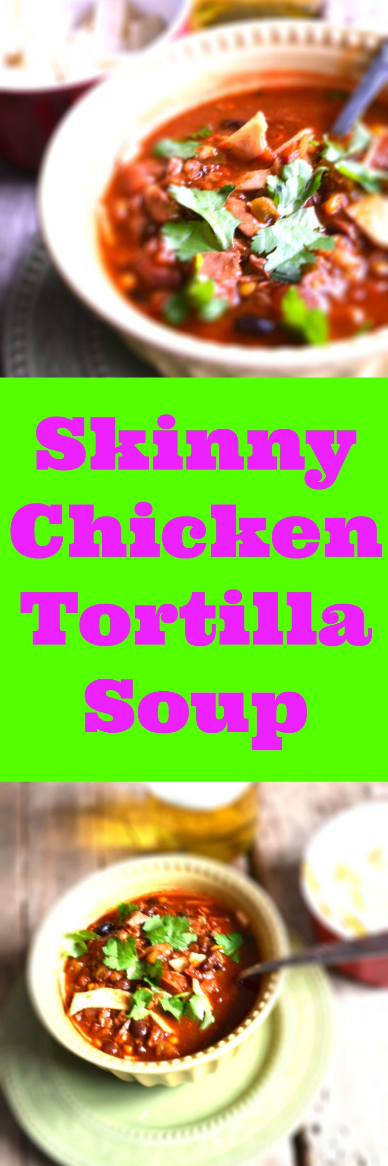 Low Fat Chicken Tortilla Soup
 Low Fat Chicken Tortilla Soup Recipe a Natural Remedy to