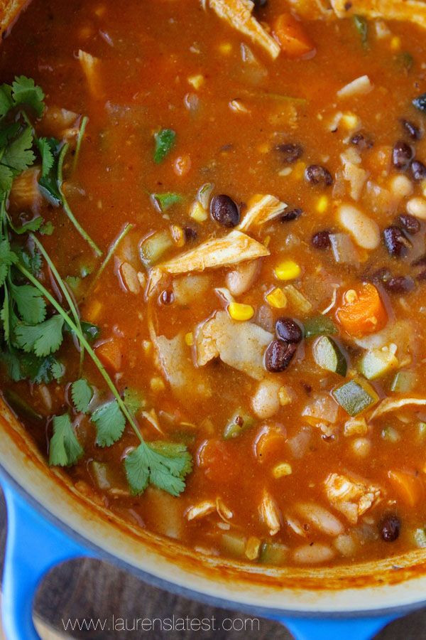Low Fat Chicken Tortilla Soup
 Easy and Healthy Chicken Tortilla Soup Recipe