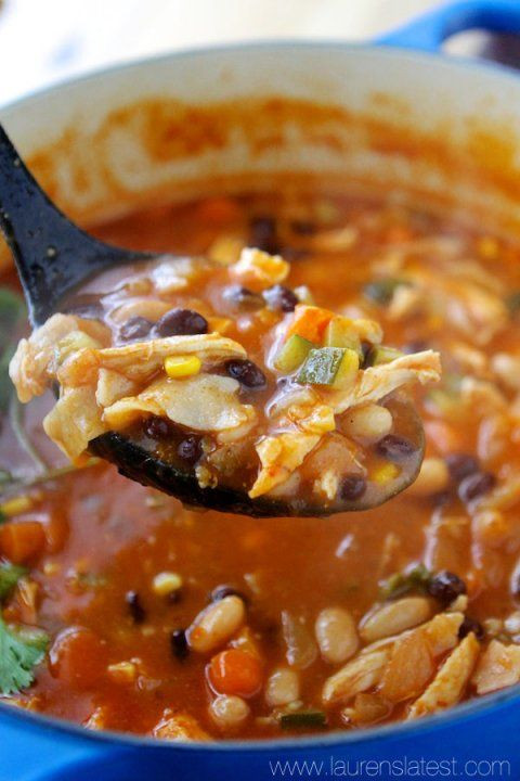 Low Fat Chicken Tortilla Soup
 Easy and Healthy Chicken Tortilla Soup Recipe