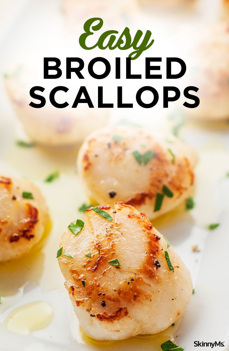 Low Fat Scallop Recipes
 Easy Broiled Scallops Recipe
