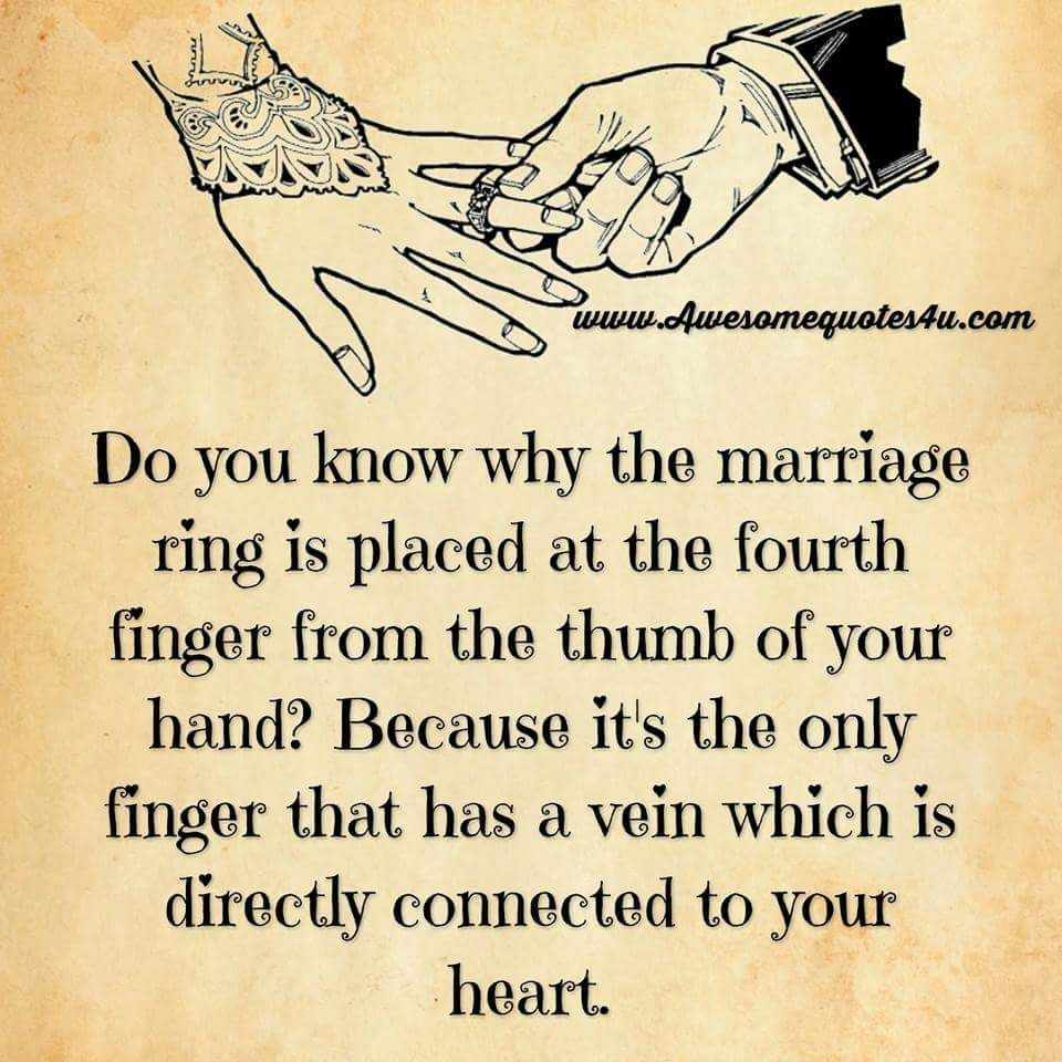 Marriage Quotes Sayings
 Do You Know Why The Marriage Ring Is Placed The Fourth