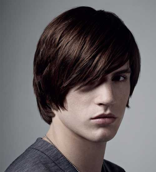 Mens Hairstyles Straight Hair
 Coolest Men Straight Hairstyle